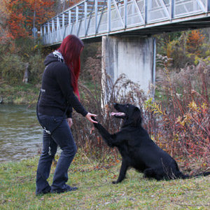 Schwarzer Hund gibt Hundetrainerin vor einer Brücke über die Alz die Pfote